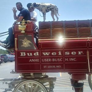 Meet your Posher, Tony